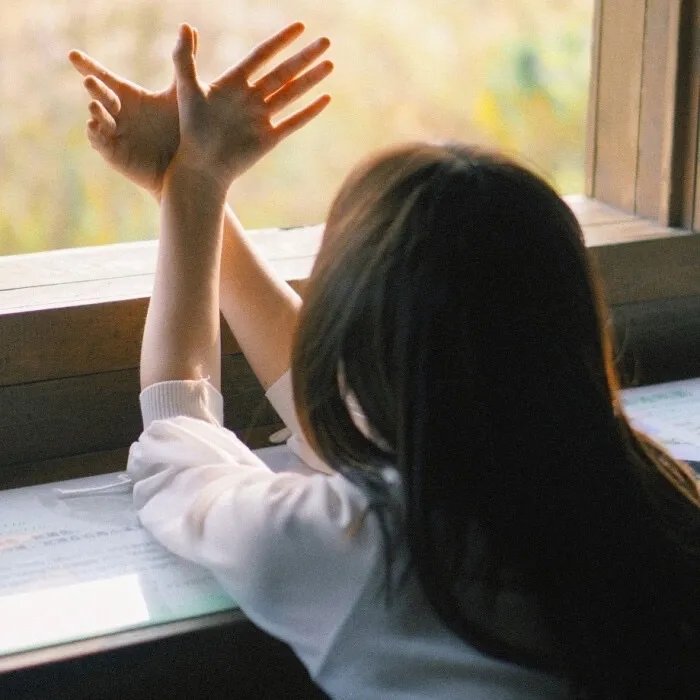 红蝎子之带泪梨花